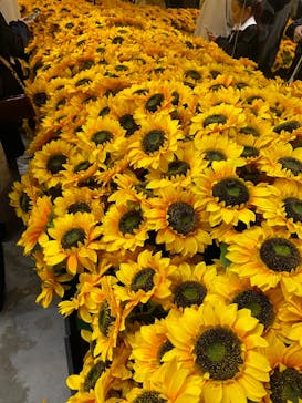 ゴッホ・アライブに投稿された画像（2024/3/17）