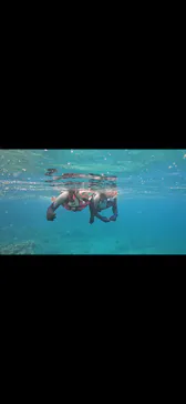 武藤潜水に投稿された画像（2024/3/17）