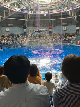 マクセル アクアパーク品川に投稿された画像（2024/3/17）