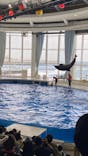 アクアワールド茨城県大洗水族館に投稿された画像（2024/3/17）