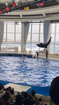 アクアワールド茨城県大洗水族館に投稿された画像（2024/3/17）