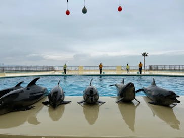 マリンワールド海の中道に投稿された画像（2024/3/17）