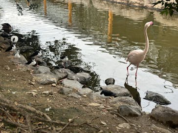 神戸どうぶつ王国に投稿された画像（2024/3/17）