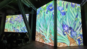 ゴッホ・アライブに投稿された画像（2024/3/17）