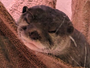 マクセル アクアパーク品川に投稿された画像（2024/3/17）