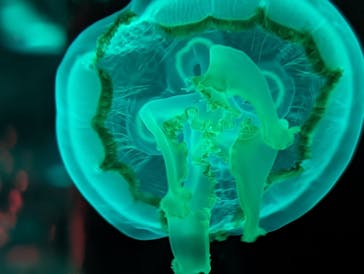 マクセル アクアパーク品川に投稿された画像（2024/3/17）