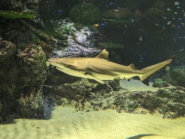 マクセル アクアパーク品川に投稿された画像（2024/3/17）