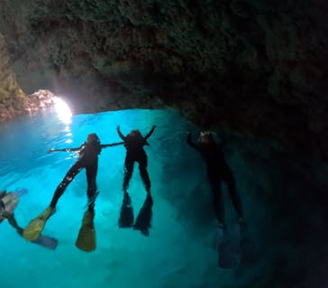 沖縄マリンサービス碧に投稿された画像（2024/3/17）