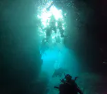 沖縄マリンサービス碧に投稿された画像（2024/3/17）