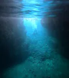 沖縄マリンサービス碧に投稿された画像（2024/3/17）