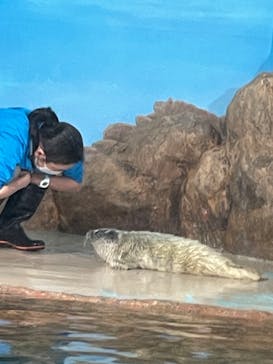 しながわ水族館に投稿された画像（2024/3/17）