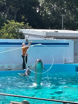 しながわ水族館に投稿された画像（2024/3/17）