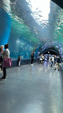 マクセル アクアパーク品川に投稿された画像（2024/3/17）