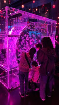 マクセル アクアパーク品川に投稿された画像（2024/3/17）