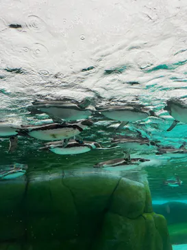 天王寺動物園に投稿された画像（2024/3/17）