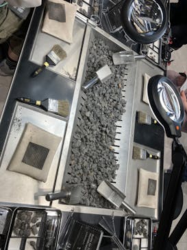 福井県立恐竜博物館に投稿された画像（2024/3/17）