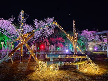 せんだい農業園芸センター　みどりの杜に投稿された画像（2024/3/17）