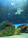 サンシャイン水族館に投稿された画像（2024/3/17）