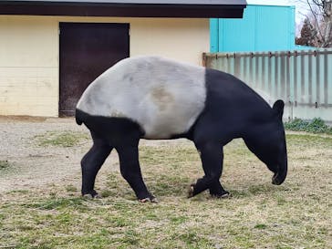 東武動物公園に投稿された画像（2024/3/17）
