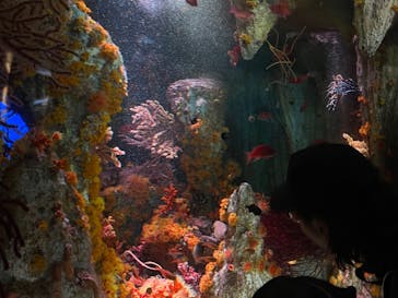 サンシャイン水族館に投稿された画像（2024/3/17）