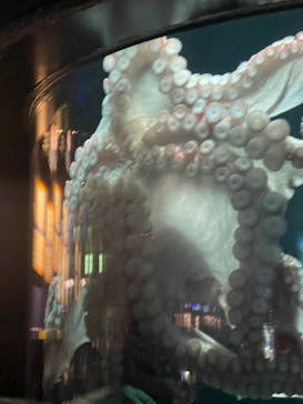 サンシャイン水族館に投稿された画像（2024/3/17）