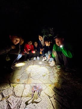 宮古島 ADVENTURE PiPi（ミヤコジマ アドベンチャー ピピ）に投稿された画像（2024/3/17）