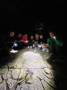 宮古島 ADVENTURE PiPi（ミヤコジマ アドベンチャー ピピ）に投稿された画像（2024/3/17）