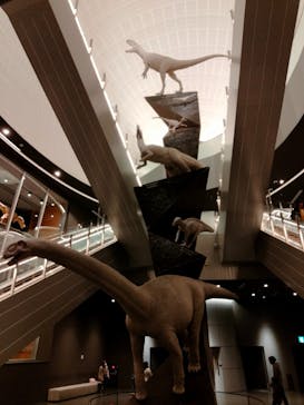 福井県立恐竜博物館に投稿された画像（2024/3/17）