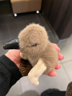 サンシャイン水族館に投稿された画像（2024/3/17）