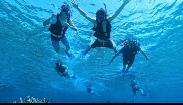 宮古島 ADVENTURE PiPi（ミヤコジマ アドベンチャー ピピ）に投稿された画像（2024/3/17）