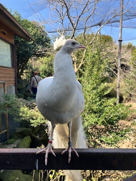 伊豆シャボテン動物公園に投稿された画像（2024/3/17）