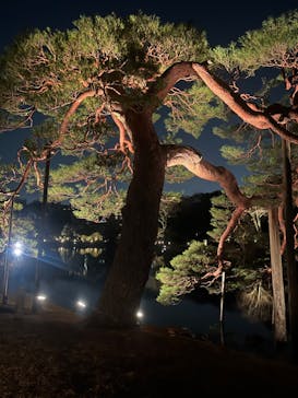 六義園に投稿された画像（2024/3/17）