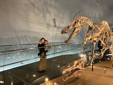 福井県立恐竜博物館に投稿された画像（2024/3/17）