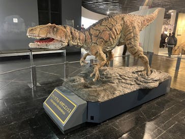 福井県立恐竜博物館に投稿された画像（2024/3/17）