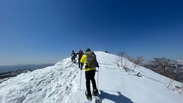 twin tree（ツインツリー）に投稿された画像（2024/3/17）