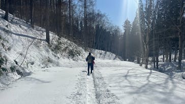 twin tree（ツインツリー）に投稿された画像（2024/3/17）