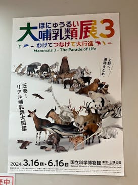 特別展「大哺乳類展３－わけてつなげて大行進」に投稿された画像（2024/3/17）
