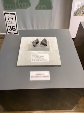 福井県立恐竜博物館に投稿された画像（2024/3/17）