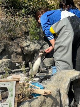 サンシャイン水族館に投稿された画像（2024/3/17）