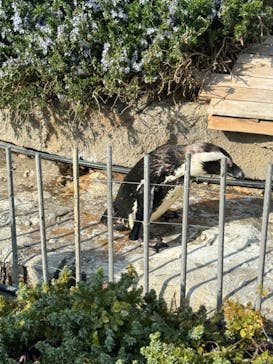 サンシャイン水族館に投稿された画像（2024/3/17）