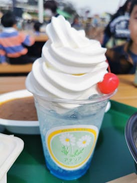 西武園ゆうえんちに投稿された画像（2024/3/17）