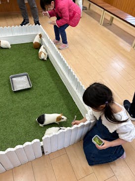 淡路ファームパーク イングランドの丘に投稿された画像（2024/3/17）