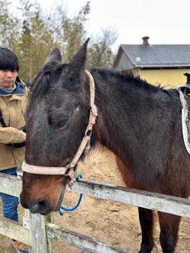 淡路ファームパーク イングランドの丘に投稿された画像（2024/3/17）
