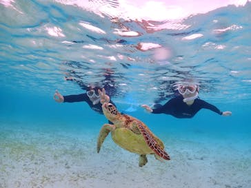 ちゃこたびに投稿された画像（2024/3/17）