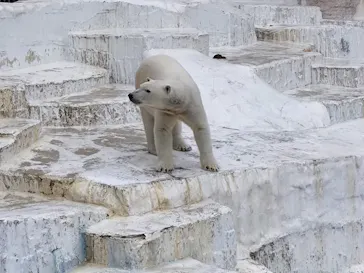 天王寺動物園に投稿された画像（2024/3/17）