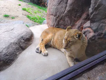 天王寺動物園に投稿された画像（2024/3/17）