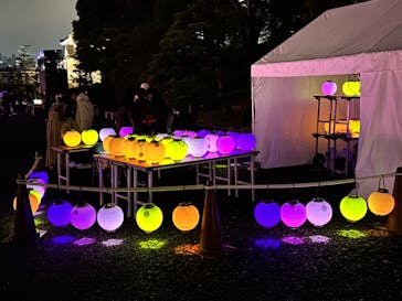 NAKED meets 二条城 2025 観月に投稿された画像（2024/3/17）