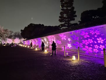 NAKED meets 二条城 2025 観月に投稿された画像（2024/3/17）