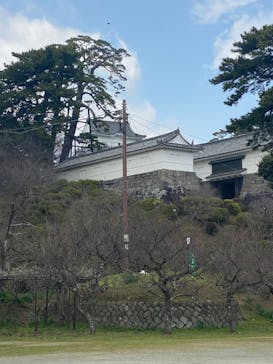 小田原城に投稿された画像（2024/3/17）