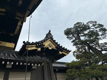 京都市観光協会（催行運営：株式会社らくたび）に投稿された画像（2024/3/17）